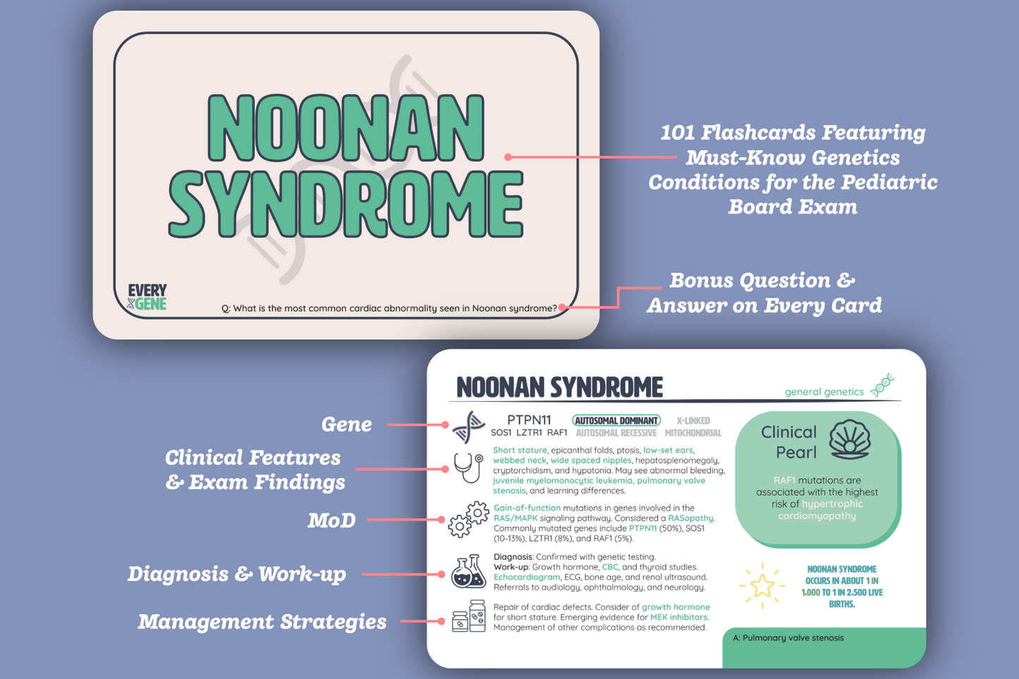 EveryGene Flashcards: Pediatric Genetics Flashcards for Pediatrics Board Prep